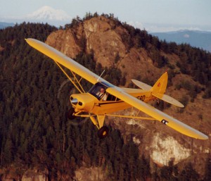 Piper PA-18 with Micro VGs