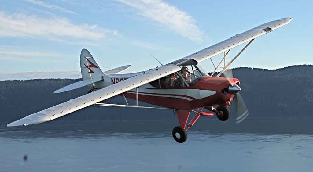 Piper PA-18 with Micro VGs