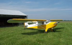 Taylorcraft BC12-D with Micro VGs